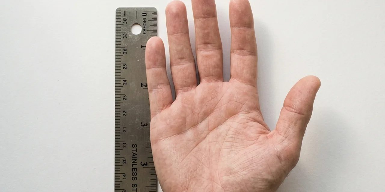 Adult palm next to a steel ruler, measuring ~10 cm (100 mm)